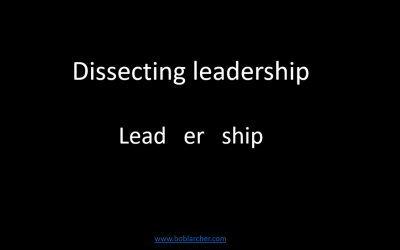 Dissecting leadership