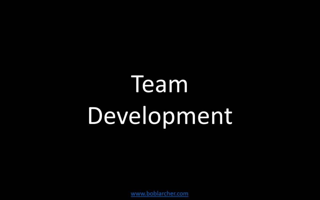 Team development