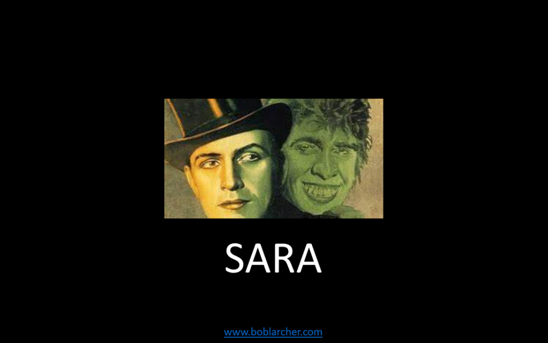 A meeting with SARA